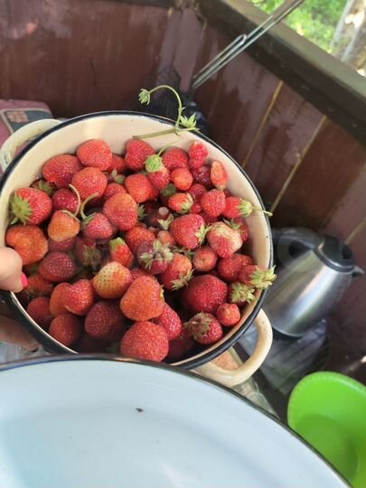 Дача 27 м² на участке 7,1 сот.