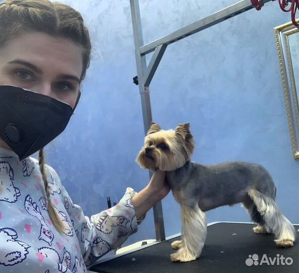 Груминг, уз чистка зубов