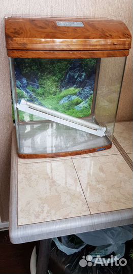 Аквариум jebo