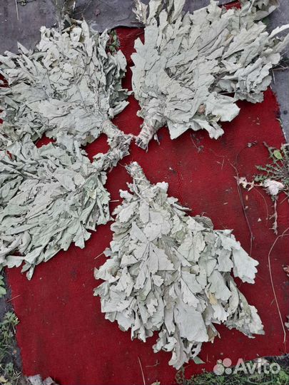 Веники дубовые д. Бани