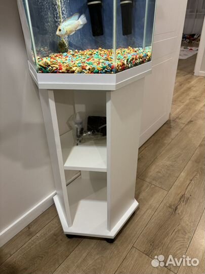 Аквариум 60л