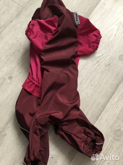 Дождевик для собак и ошейник