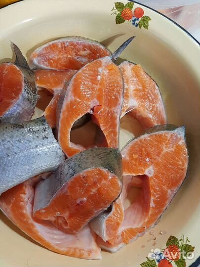 Форель из Карелии