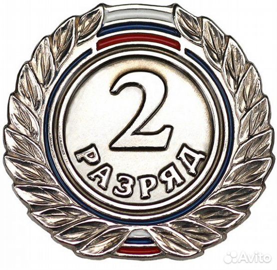 Значок 2 разряд