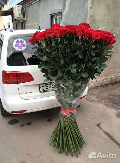 Розы Высокие 150см 160см 170см 180см 190см 2м