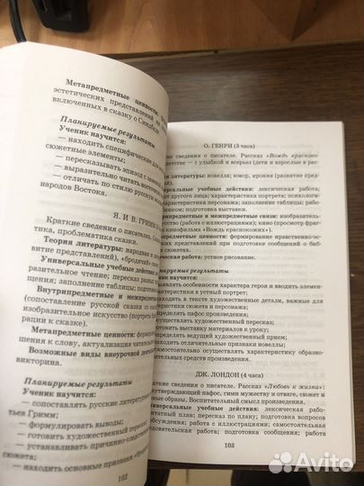 Программа курса Литература 5-9 кл Меркин Зинин