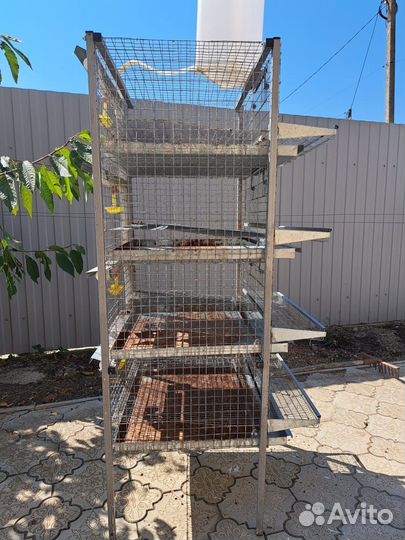 Клетка для перепелок