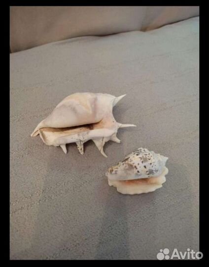 Для аквариума