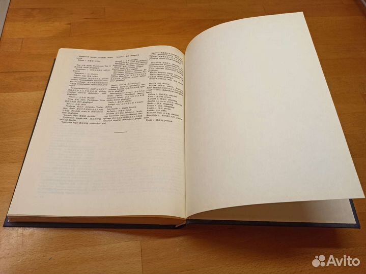 Русско-китайский словарь