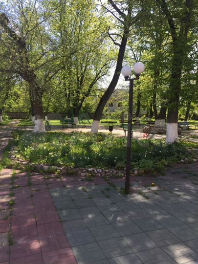 Офис, 485.3 м²