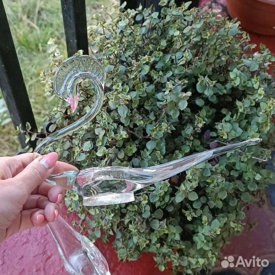 Лебеди СССР