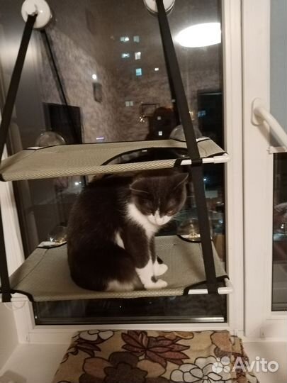 Гамак для кошек на окно