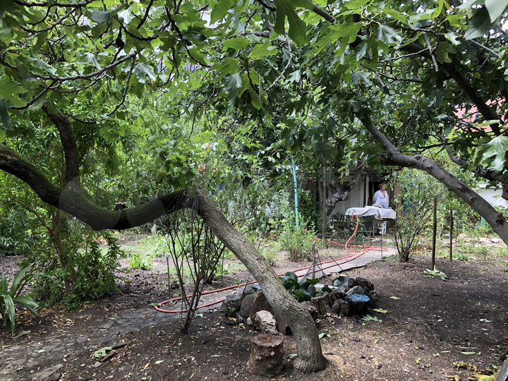 Дом 75 м² на участке 6 сот.