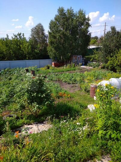 Участок 9,8 сот. (СНТ, ДНП)