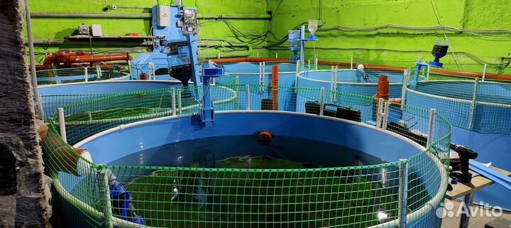 Комплект оборудования для выращивания рыбы