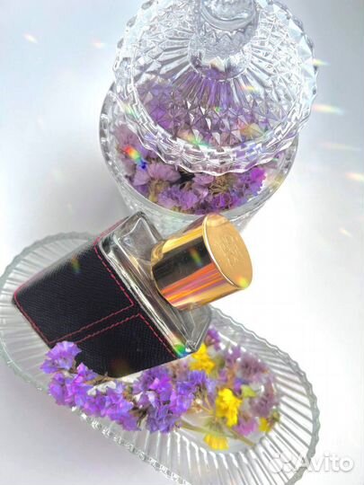 Сухоцветы для творчества