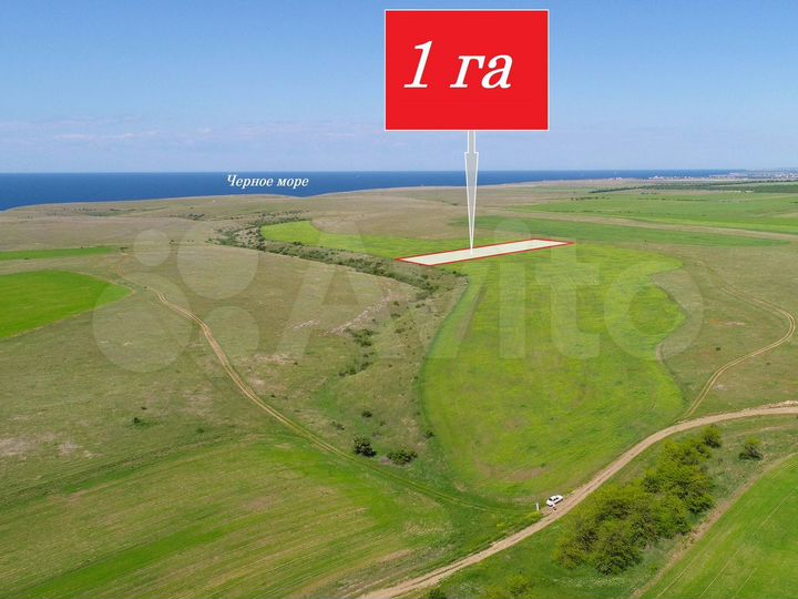 Участок 100 сот. (СНТ, ДНП)