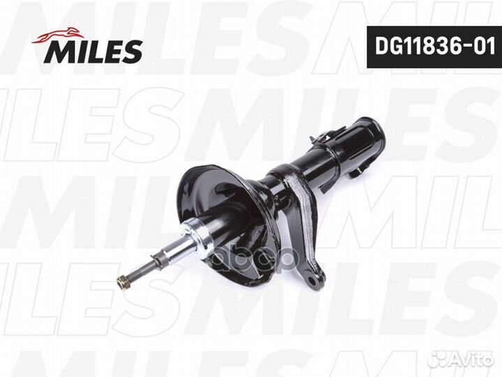 DG11836-01 DG11836-01 Miles