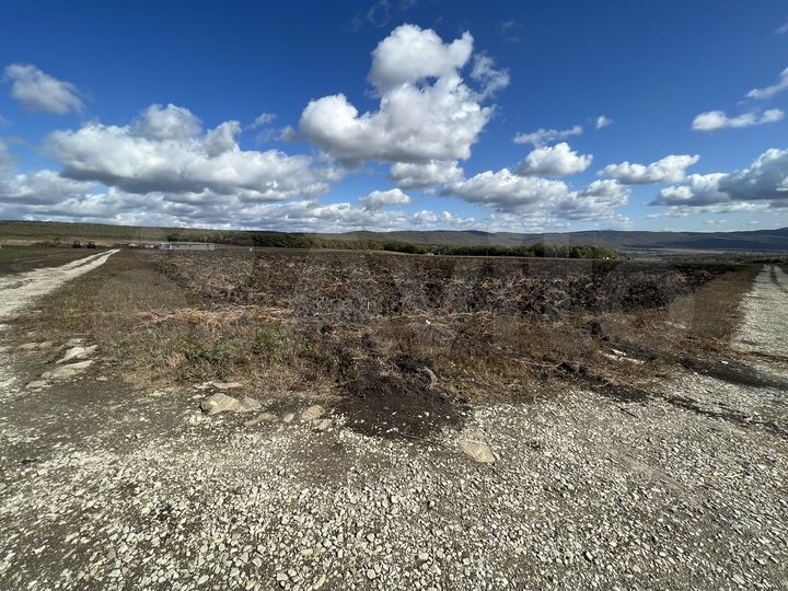 Участок 4,6 сот. (СНТ, ДНП)