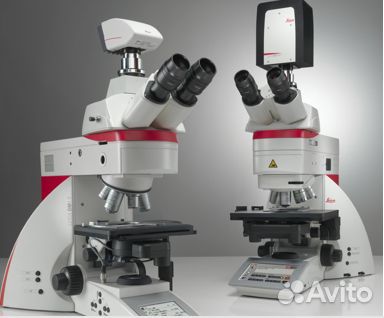Бинокулярный микроскоп