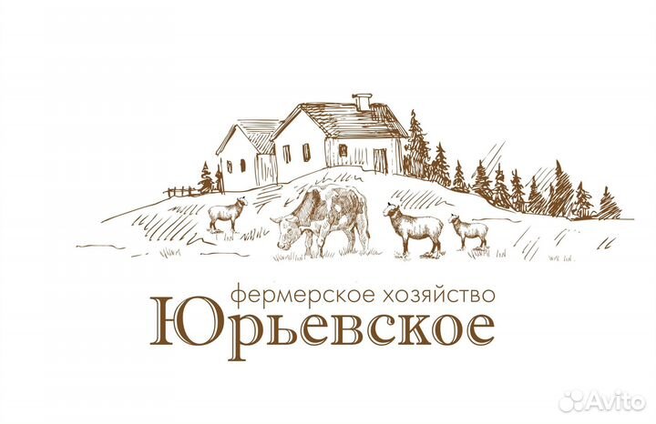 Водитель экспедитор, категория В