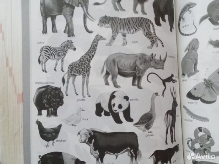 Англо английский словарь macmillan