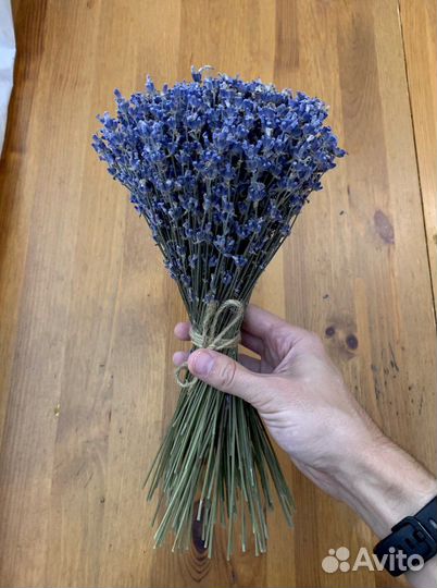 Букет Лаванды