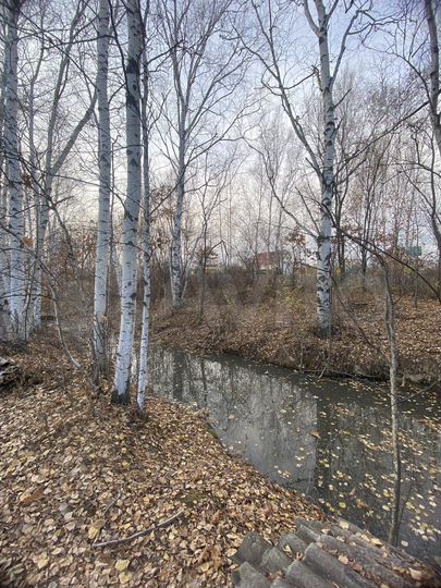 Участок 8 сот. (СНТ, ДНП)