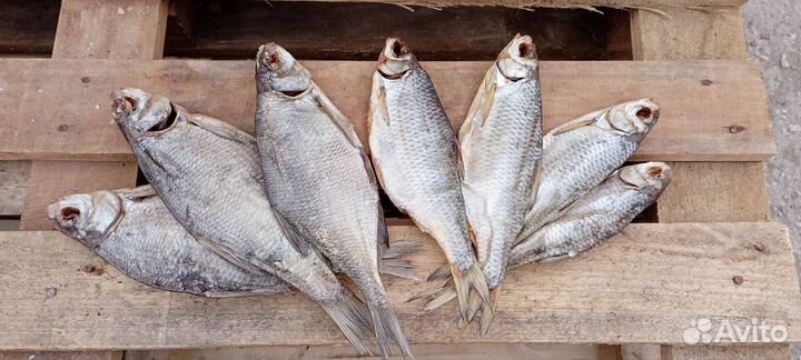 Астраханский вяленый лещ