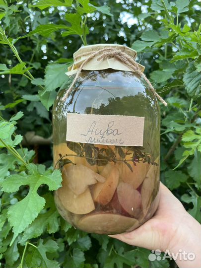 Домашние компоты