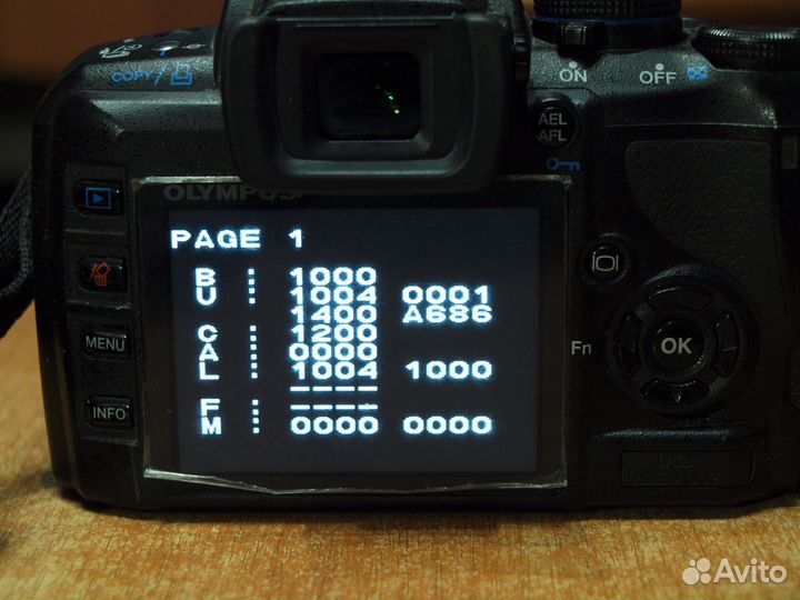 Olympus E-420