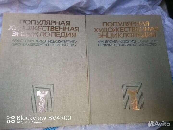 Популярная художественная энциклопедия в 2 томах