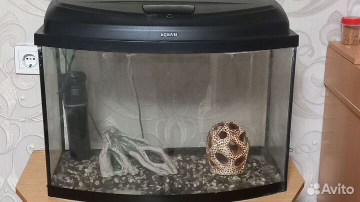 Аквариум