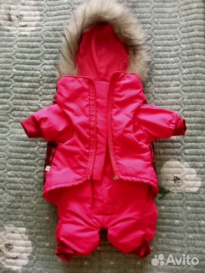 Комбинезон для маленькой собаки