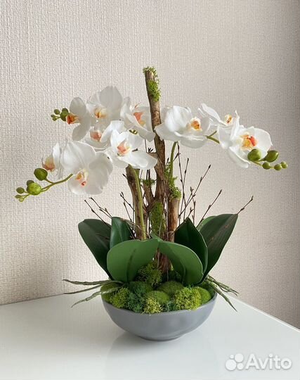 Орхидея коряги мох композиция