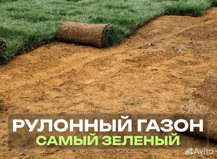 Рулонный газон. Насыщенный зеленый цвет