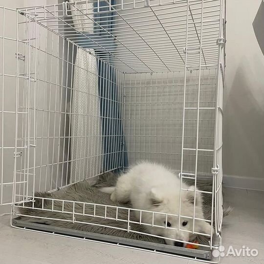 Клетка для собак белая