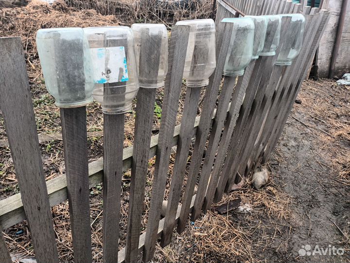 Банки стеклянные