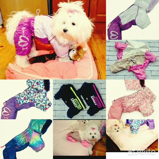 Комбинезон для собаки
