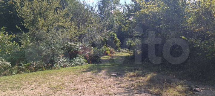 Участок 6 сот. (СНТ, ДНП)