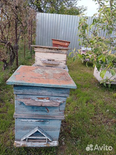 Улий для пчел