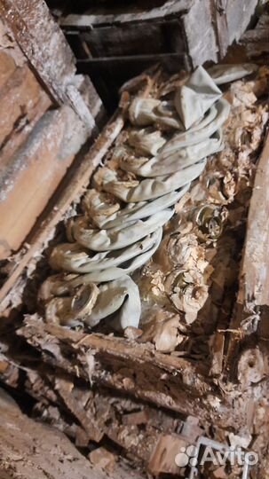 Противогаз гп 5