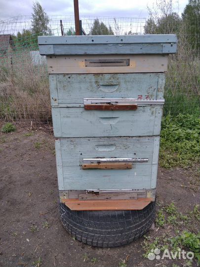 Продам пчел