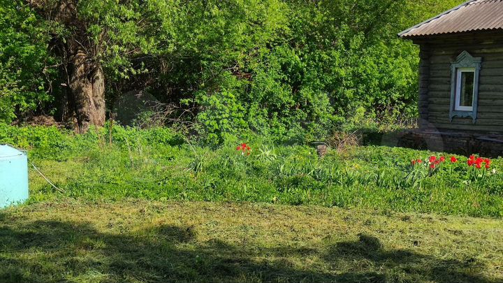 Дом 37 м² на участке 82 сот.