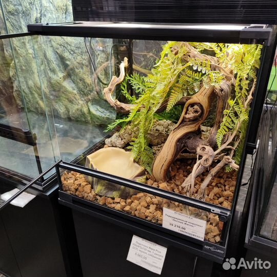 Террариум для геккона комплект