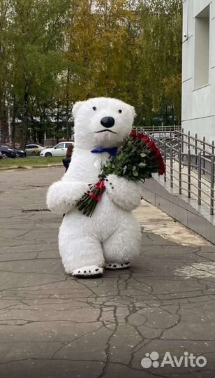 Поздравление белого мишки аниматор