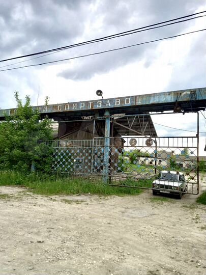 Спиртовой завод Пертовский