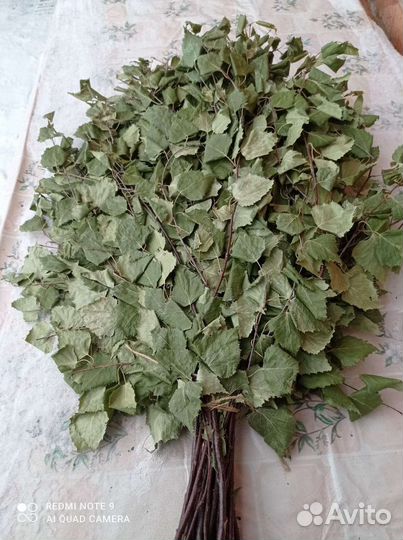 Веник березовый