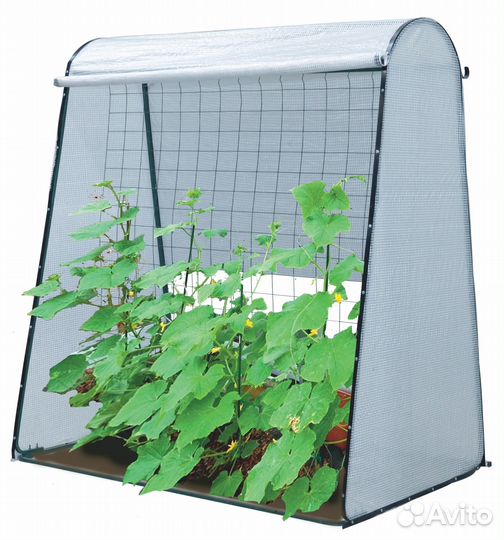 Минипарник, теплица