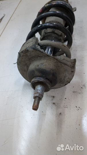 Амортизатор подвески левый передний Opel Vivaro, 2015